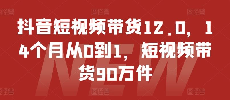 抖音短视频带货12.0,14个月从0到1,短视频带货90万件-轻创淘金网