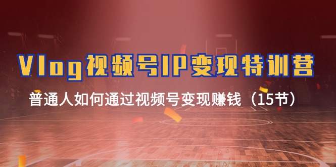 Vlog视频号IP变现特训营,普通人如何通过视频号变现赚钱(15节)-轻创淘金网