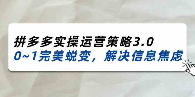 2024-2025拼多多实操运营策略3.0,0~1完美蜕变,解决信息焦虑(38节)-轻创淘金网
