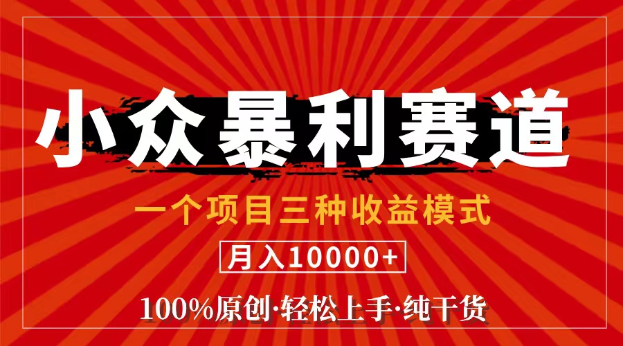 (11695期)视频号【中老年粉深信不疑】小众赛道 100%原创 手把手教学 新号3天收益…-轻创淘金网