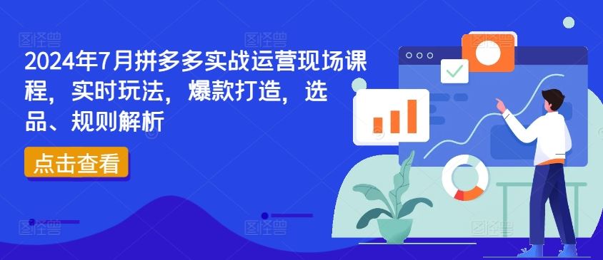 2024年7月拼多多实战运营现场课程,实时玩法,爆款打造,选品、规则解析-轻创淘金网