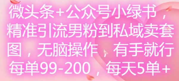 微头条+公众号小绿书,精准引流男粉到私域卖套图,无脑操作,有手就行,每单99-200,每天5单-轻创淘金网
