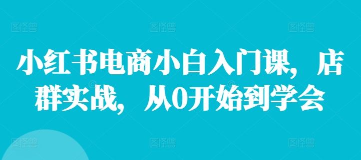 小红书电商小白入门课,店群实战,从0开始到学会-轻创淘金网