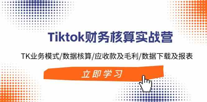 Tiktok财务核算实战营:TK业务模式/数据核算/应收款及毛利/数据下载及报表-轻创淘金网
