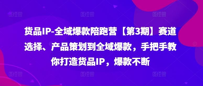 货品IP全域爆款陪跑营【第3期】赛道选择、产品策划到全域爆款,手把手教你打造货品IP,爆款不断-轻创淘金网
