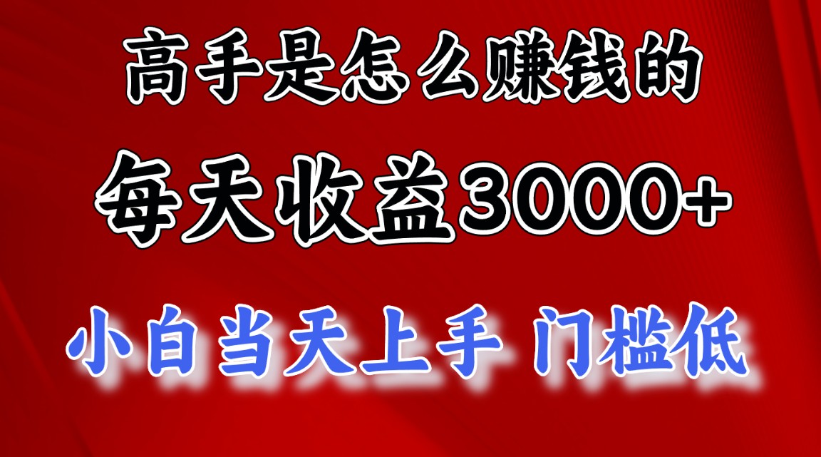 (12144期)1天收益3000+,月收益10万以上,24年8月份爆火项目-轻创淘金网