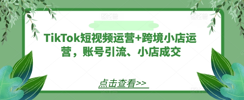TikTok短视频运营+跨境小店运营,账号引流、小店成交-轻创淘金网
