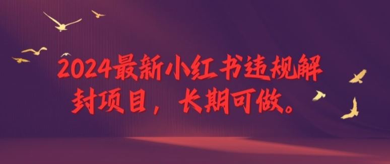2024最新小红书违规解封项目，长期可做，一个可以做到退休的项目【揭秘】-轻创淘金网