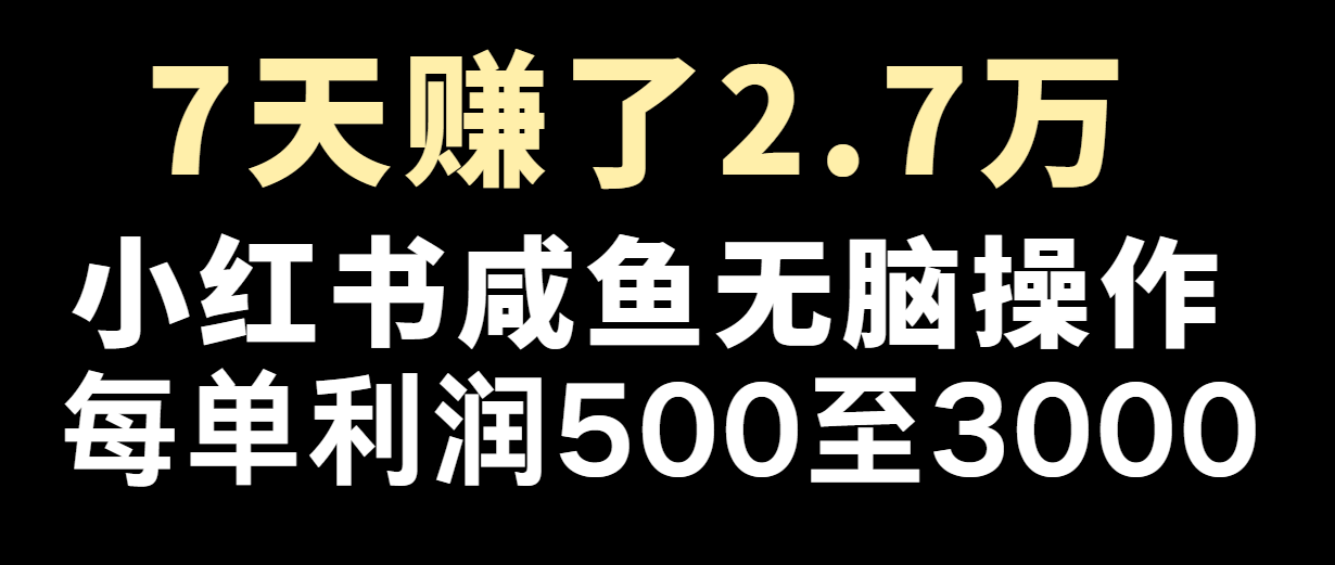 七天赚了2.7万！每单利润最少500+，轻松月入5万+小白有手就行-轻创淘金网