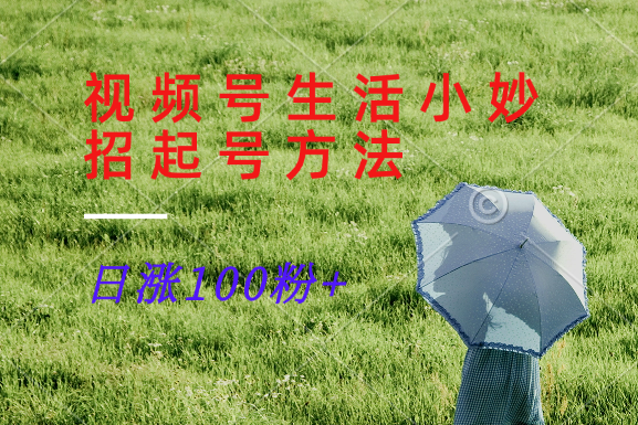 视频号生活小妙招分享赛道, 起号涨粉新方法,日涨100粉-轻创淘金网