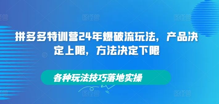 拼多多特训营24年爆破流玩法,产品决定上限,方法决定下限,各种玩法技巧落地实操-轻创淘金网